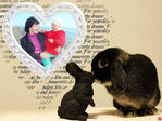 getImage (1)