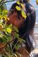 getImage (13)