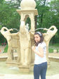 getImage (64)