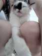 IMG-20200801-WA0006