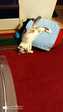 IMG-20200902-WA0002