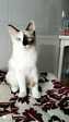 IMG-20200925-WA0000