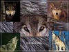 images (6)