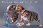 5kdep6YQaMw