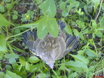 DSC01459