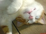 DSC01416