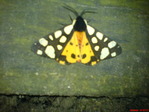 DSC01417