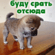 Буду стать отсюда