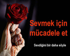 crazyyy1_sevgi