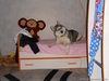 мой любимый шкода Вульф))))