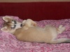 DSCN0029