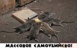0CA6D9M8D