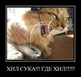imagesCARW1B6S