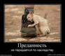 прикол (324)