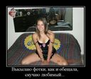 прикол (231)