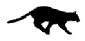 pantera