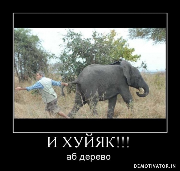 Картинка дня