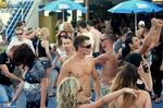 lrg-19462-img_4956