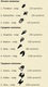 легкие 10-15 средние 20-25 трудные 30-40