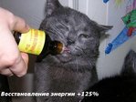 стопицот