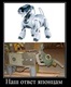 x_9a51bebe
