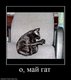 1324208180_828164_o-maj-gat