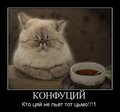 x_a2e2e0da