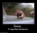 cd1ae492fcf75677b05cdbffdc4_prev