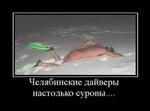 demotivatory_24_04_11_1023826