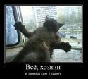 176515_363675