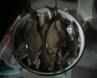 Photo-0127