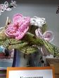 P221111_1220[02]