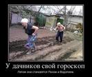23488872_u-dachnikov-svoj-goroskop-.thumbnail