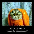 Котэ зая:)