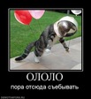 Космонафт