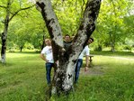 _zyZuPASMBA