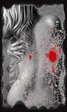 x_a5e6022b