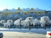 Волгоград зимой