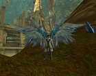 Aion0003