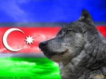 1245152305_1217490490_grey_wolf_by_iq_honey