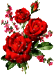 8ca8cd672b2f