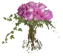9c054147d5a8ab5898d1159f9428261c
