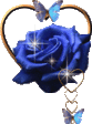 9de63f8bcd948e8e087e1c455325efe2