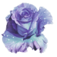 7d772ab171091a7e141cd1b218fd88e5