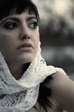 y_d55ca9ba