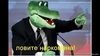 Ловите