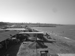 05092010267
