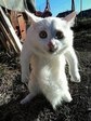 VLZCOtMX4ruVyzsEqMVaA9Of1OJvspVDsN1BmNQYr4w