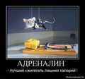 getImageCASJDRNV