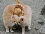 08HlIH7FE4uTgcdNcY1lpQpsEe1WBwzfWN2Ei5DaRp7w